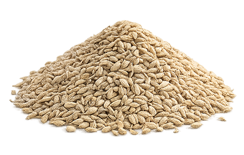 Anise Seeds are selected for their distinctive aroma and naturally sweet flavor profile. Commonly used in herbal teas, confectionery, bakery, and food preparations, they are cleaned and graded to support export-grade purity and reliable quality across batches. Specifications HS Code: 09096100  Origin: Egypt  Form: Whole Seeds  Purity: ≥ 99%  Moisture: ≤ 10%  Packaging: 25kg PP bags / Retail packaging upon request Harvest Season: April – June