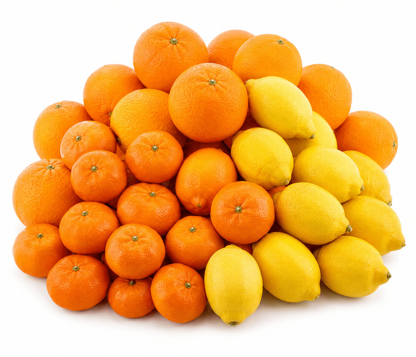 Fresh Citrus