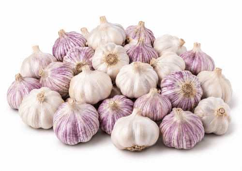 Fresh Garlic