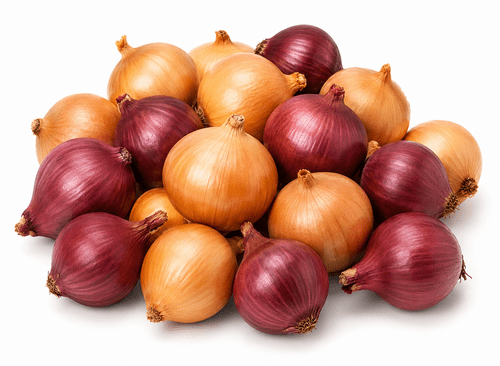 Fresh Onions