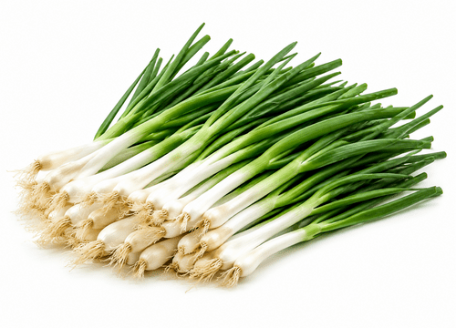 Fresh Spring Onions